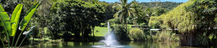 Kuranda Rainforestation lake and grounds