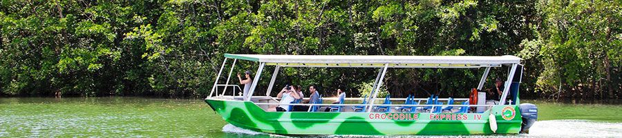 Daintree River Cruise