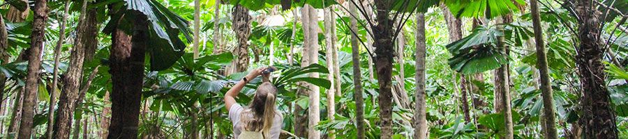 Girl in the rainforest