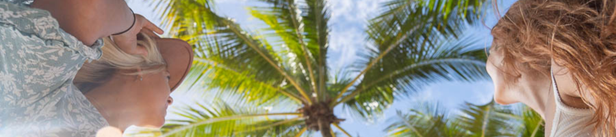 Two women looking up at a palm tree