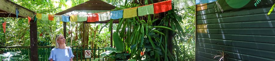 Kuranda village markets in Cairns A woman exploring the markets at Kuranda village