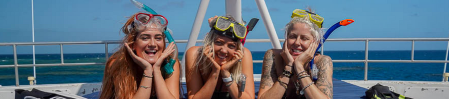 Divers Den Mermaids Divers Den Mermaids