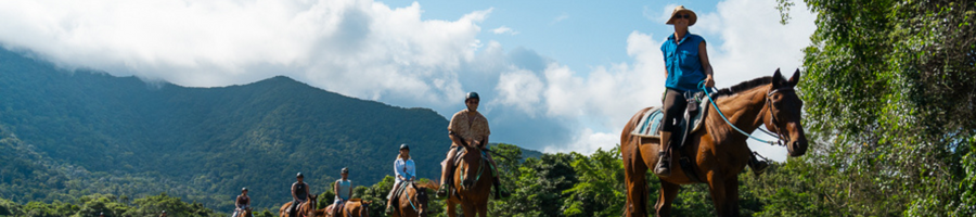 Cape Tribulation Horseback Riding