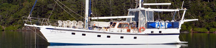 Sydney Sundancer Sydney Sundancer