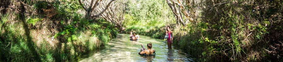 Eli Creek