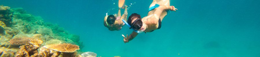 snorkeling snorkeling