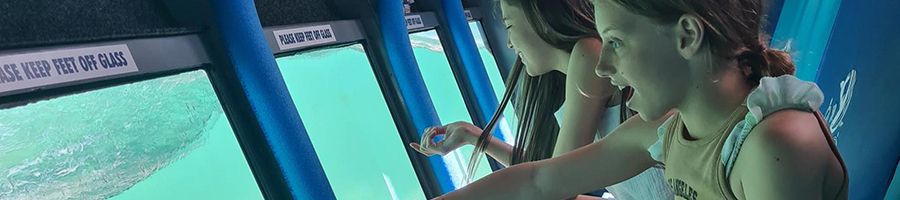 Glass bottom boat Glass bottom boat