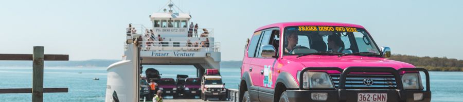 Fraser Dingo Ferry
