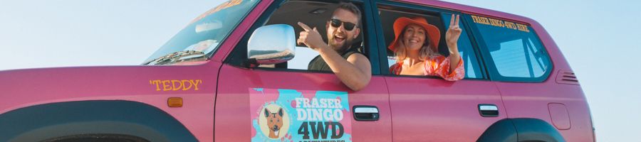 Fraser Dingo Fraser Dingo