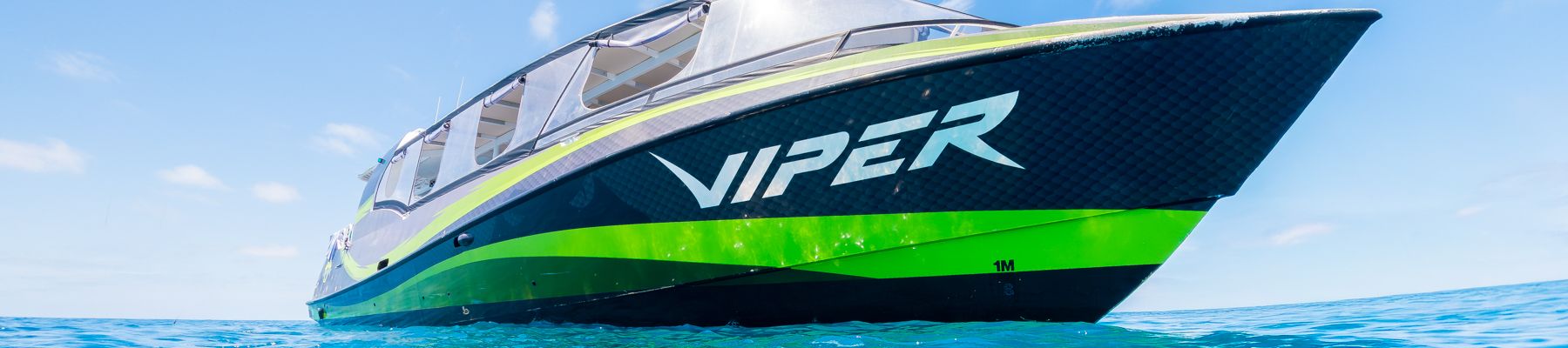 Viper A black and green boat with the title 'Viper'