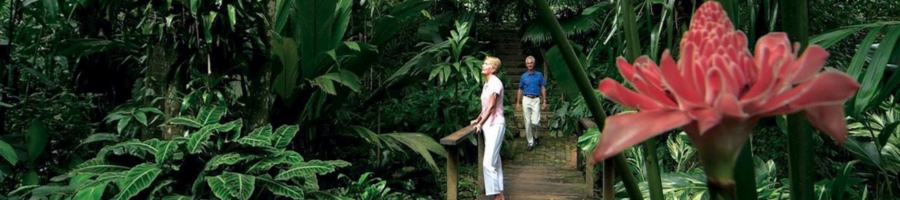 Botanic Gardens Guided Tour