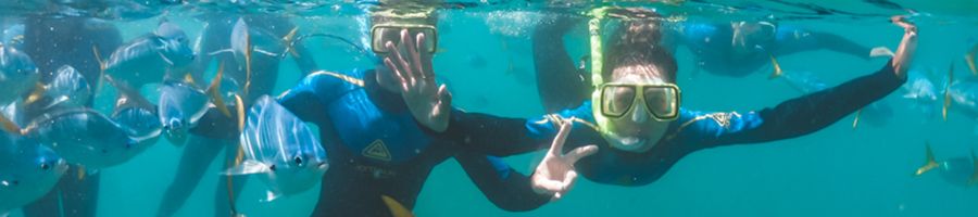 Great Barrier Reef snorkelling Two kids snorkelling with fishes in the reef