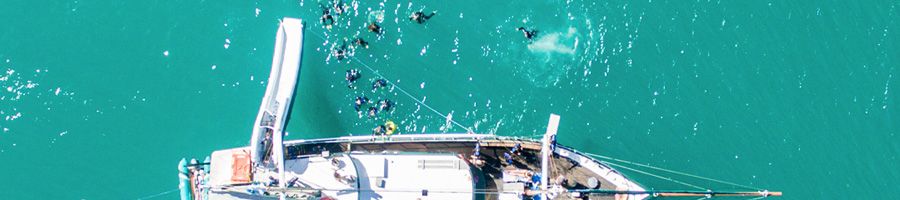 New Horizon Whitsundays New Horizon with slides, snorkellers and SUPs