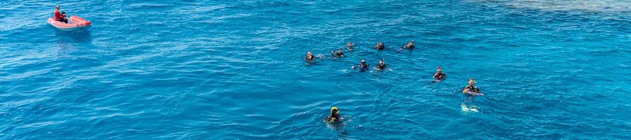 School charter, Whitsunday snorkel A group of snorkellers in the Great Barrier Reef