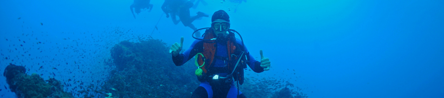 WDA Adventurer Scuba Diver Scuba diver underwater giving two thumbs up
