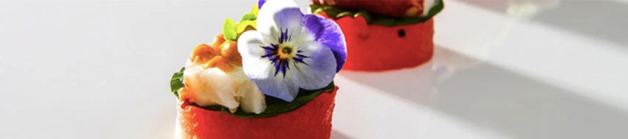 Canapes close up of canapes