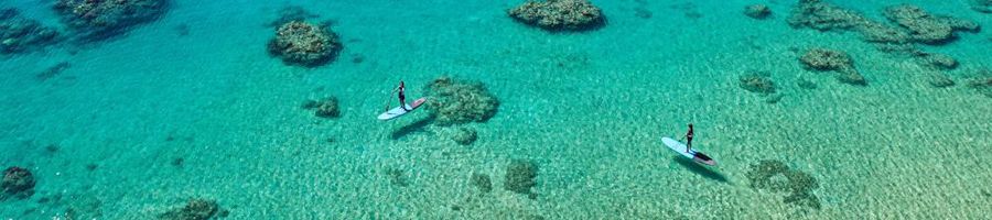 Paddleboarding Wings SUP Tour Paddleboarding gliding over turquoise waters and reefs