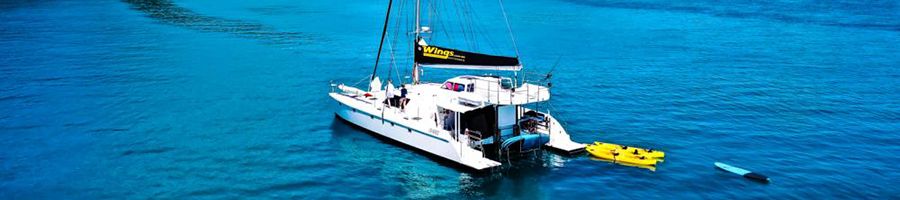 Wings Sailing Catamaran sailing catamaran sailing in sapphire waters in the Whitsundays