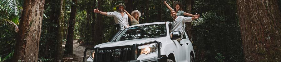 people hanging out of a 4WD in the rainforest