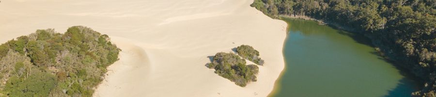 Lake Wabby aerial view of green lake next to golden sand dunes