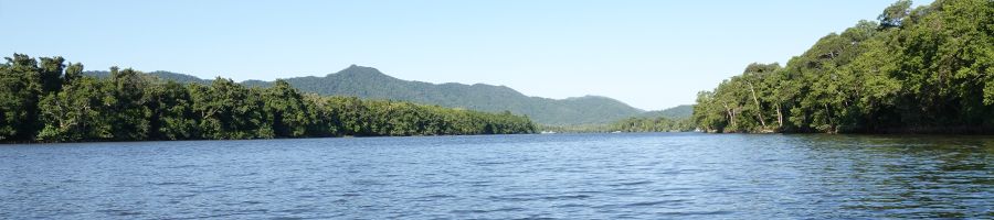 Daintree River on a clear day