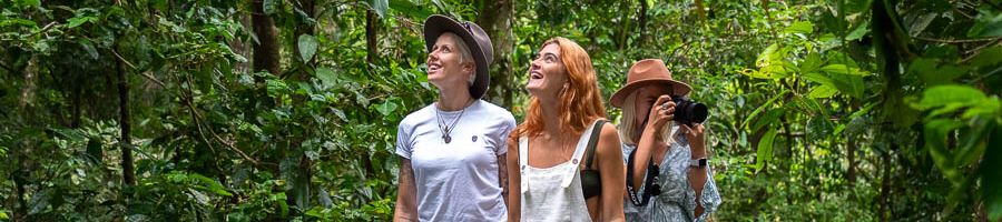 people walking through Mossman Gorge rainforest