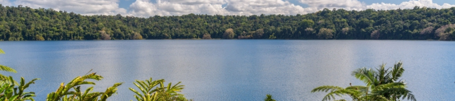 looking out over Lake Barrine