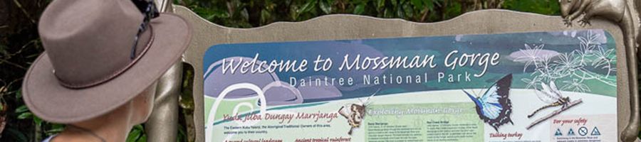 girl looking at sign in the rainforest