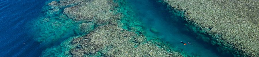 Reef snorkelling Whitsundays A reef overview with a snorkeller