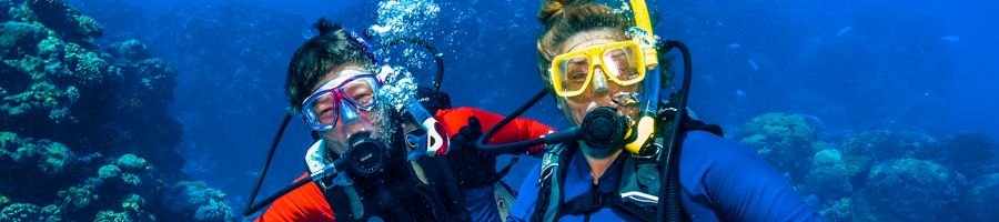 Scuba Diving two people scuba diving in the great barrier reef