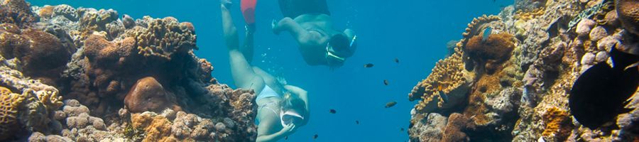 Great Barrier Reef couple snorkeling amongst coral reefs