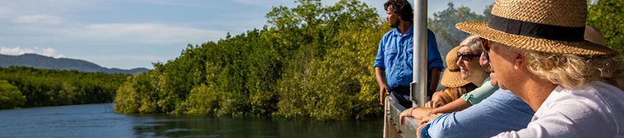 people overlooking mangroves on a river cruise