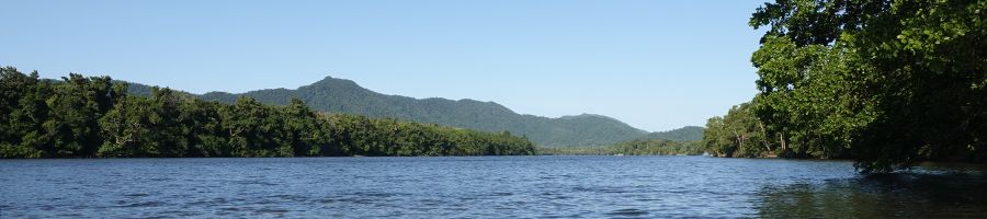 tropical scenery along a river near Cairns