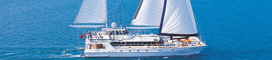 Wavedancer Low Isles wavedancer catamaran sailing near the low isles port douglas