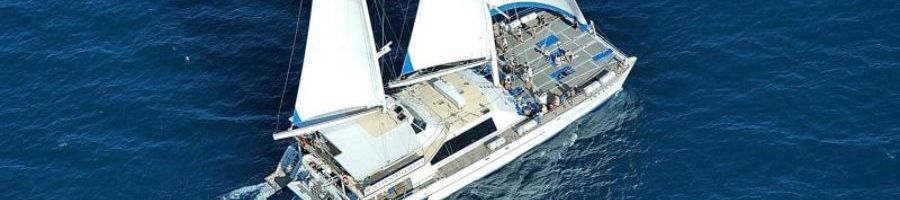 sailing catamaran ocean spirit cruising on the ocean