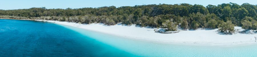 Lake McKenzie white sands and blue water at lake mckenzie on k'gari