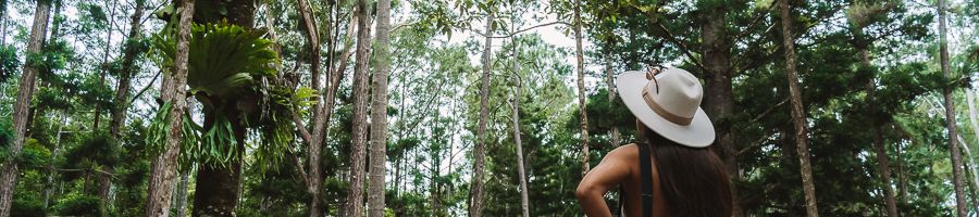 Central Station K'gari woman in a hat admiring the dense green rainforest of K'gari