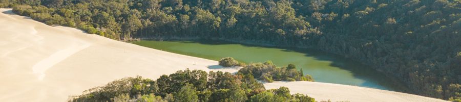 Lake Wabby on K'gari emerald green lake surrounded by sand dunes and forest