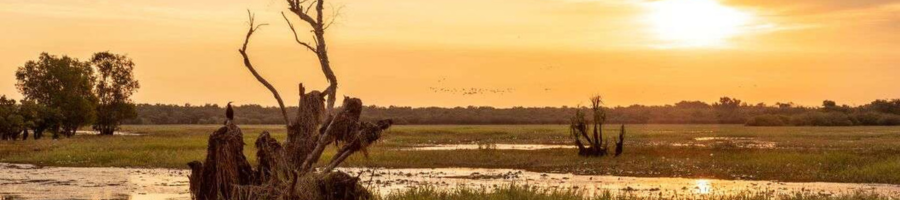 Kakadu Wetlands at Sunset Kakadu Wetlands at Sunset