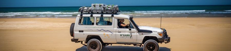 K'gari Walking Tours 4WD kgari walking tours 4wd on the beach of k'gari