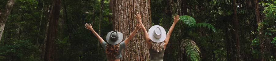 K'gari Rainforest travellers posing in front of giant trees in the rainforest on k'gari