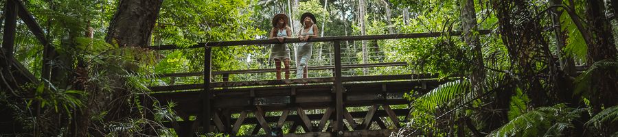 two travellers on a bridge in the rainforest at central station on k'gari