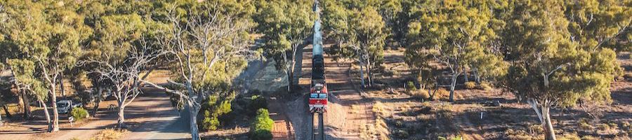 The Ghan Train Travel the ghan train travelling through outback forest