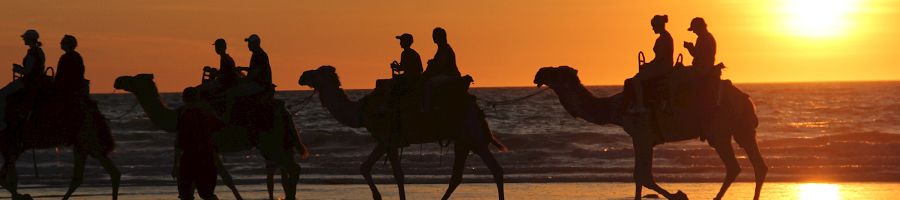 Broome Cable Beach camels on cable beach walking at sunset