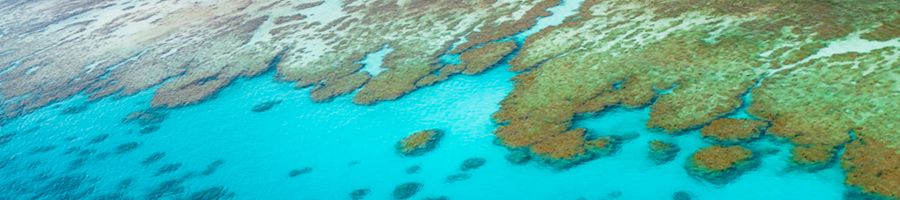 Outer Reef aerial view of coral reefs and blue water on the outer reef