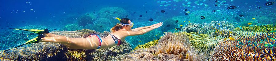 girl snorkelling over corals and reefs near cairns