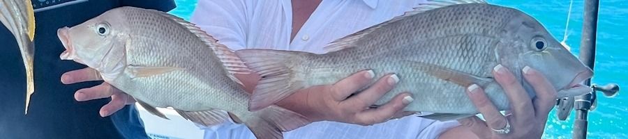 Fishing charter in the Whitsundays, Queensland A woman holding up two fish that she caught