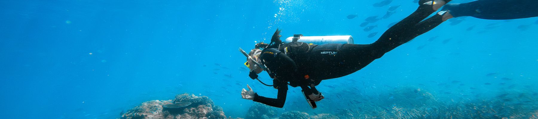 Scuba Diving Port Douglas person scuba diving on the great barrier reef