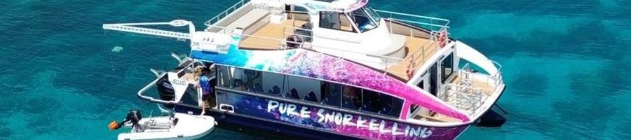 Pure Snorkelling pink and white reef cruiser boat 
