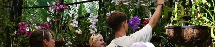 Tourists exploring Cairns Botanic Gardens